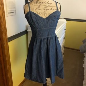Express Denim Dress